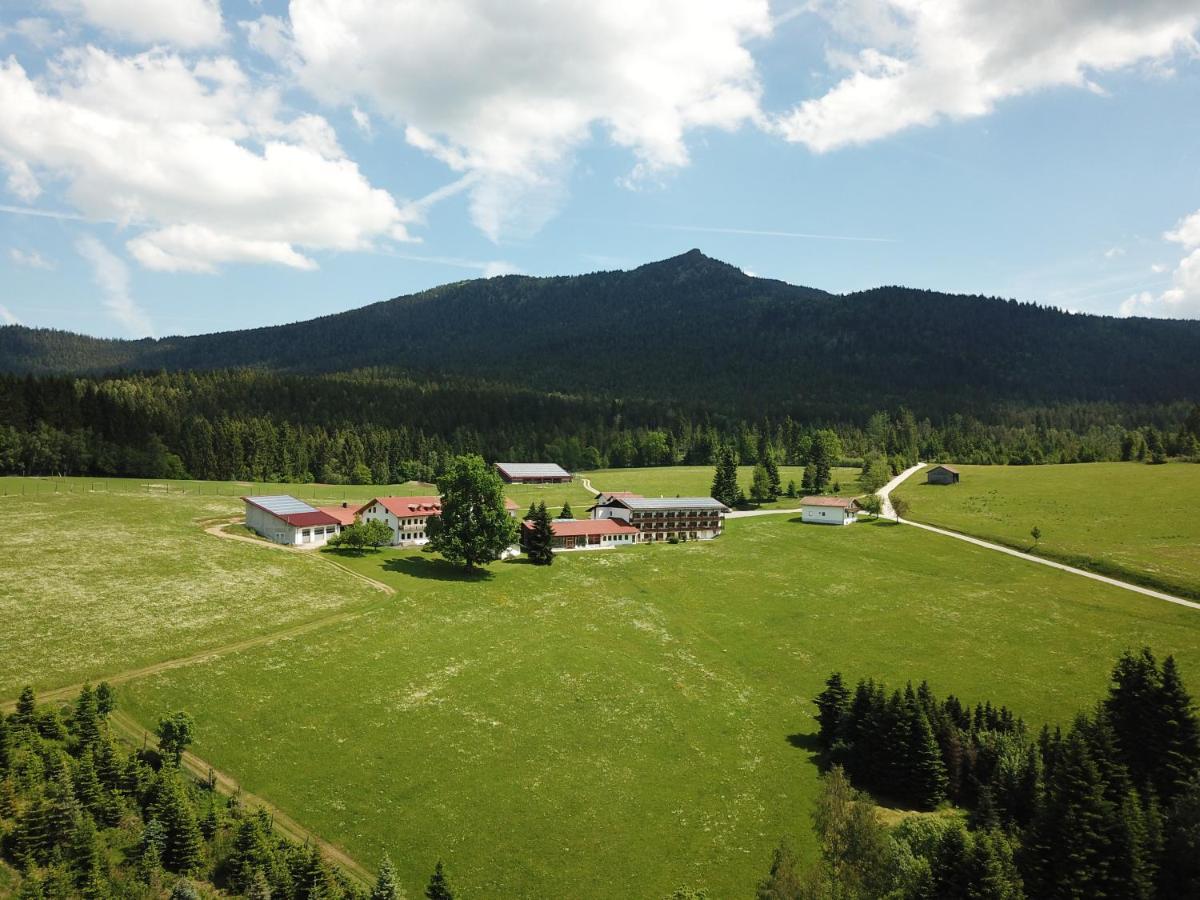Osserhotel Garni Lohberg Buitenkant foto