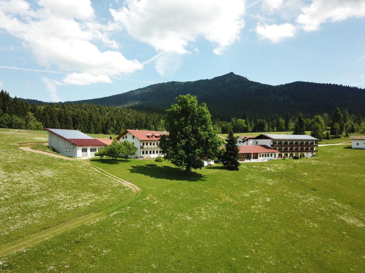 Osserhotel Garni Lohberg Buitenkant foto