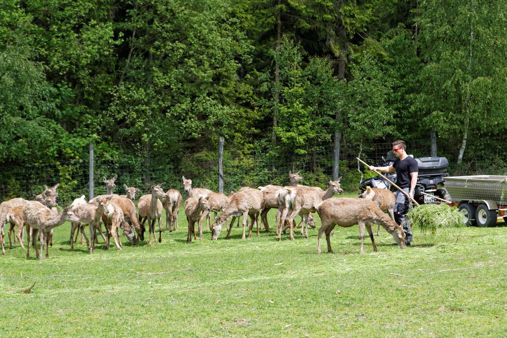 Osserhotel Garni Lohberg Buitenkant foto