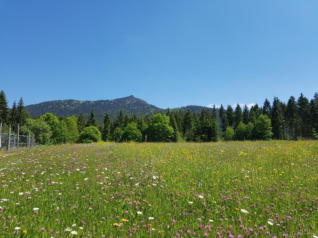 Osserhotel Garni Lohberg Buitenkant foto