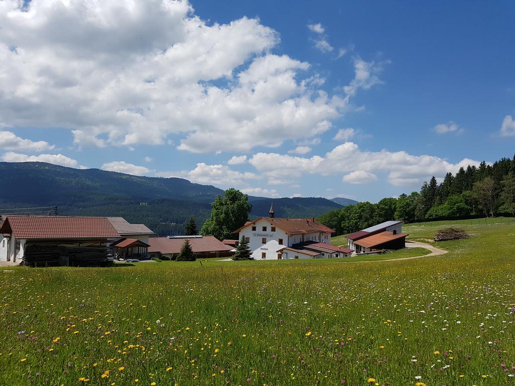 Osserhotel Garni Lohberg Buitenkant foto